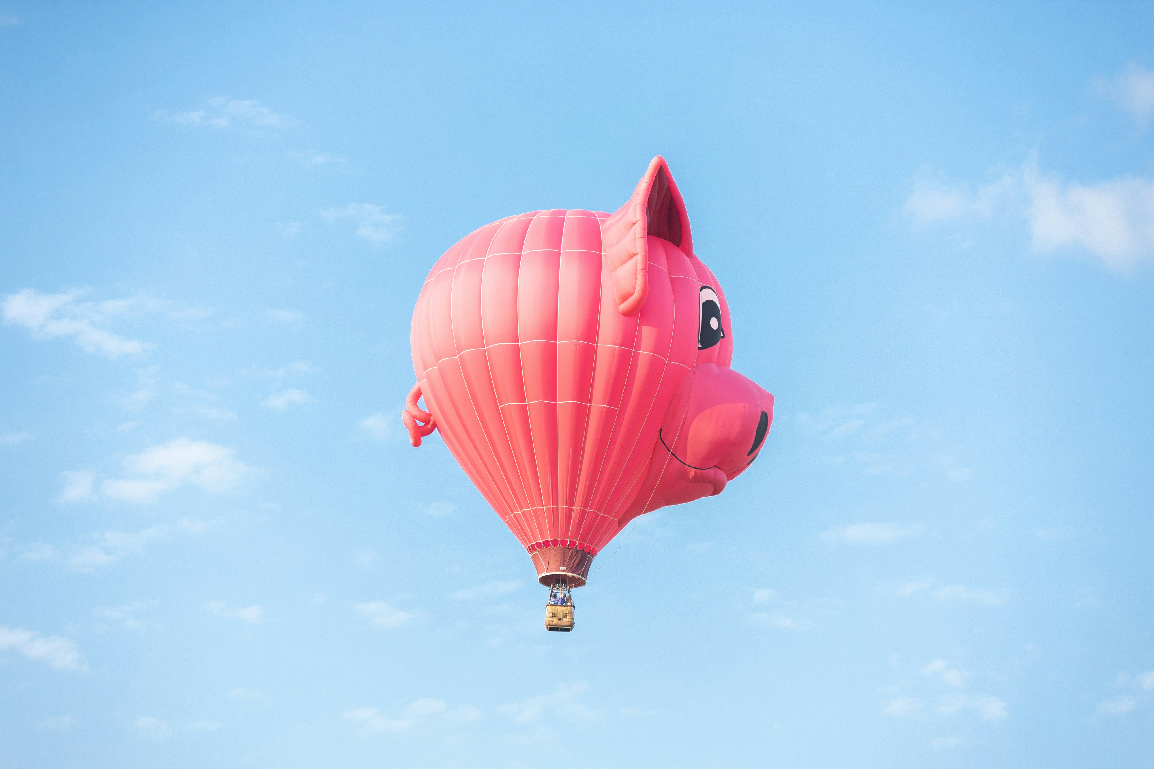 when pigs fly