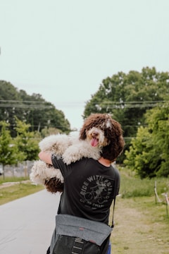 A person carries a fluffy dog with brown and white fur along a pathway in a park. The person is wearing a black t-shirt with a design and text on the back, along with a gray bag slung over their shoulder. The background features green trees and a clear sky, creating a serene outdoor setting.
