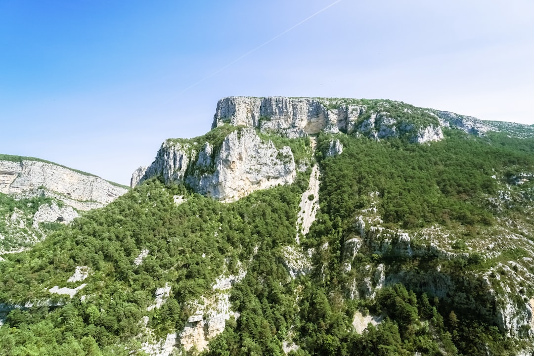 green trees on mountain under blue sky during daytime