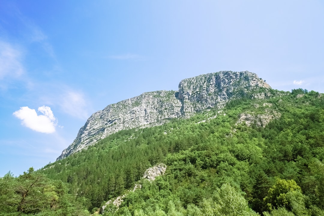 green trees on mountain under blue sky during daytime