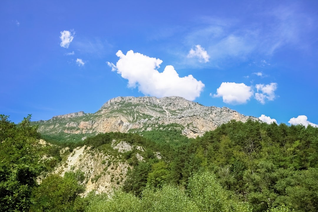 green trees on mountain under blue sky during daytime