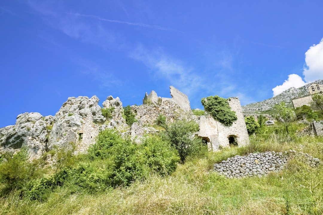 green trees near brown rock formation under blue sky during daytime