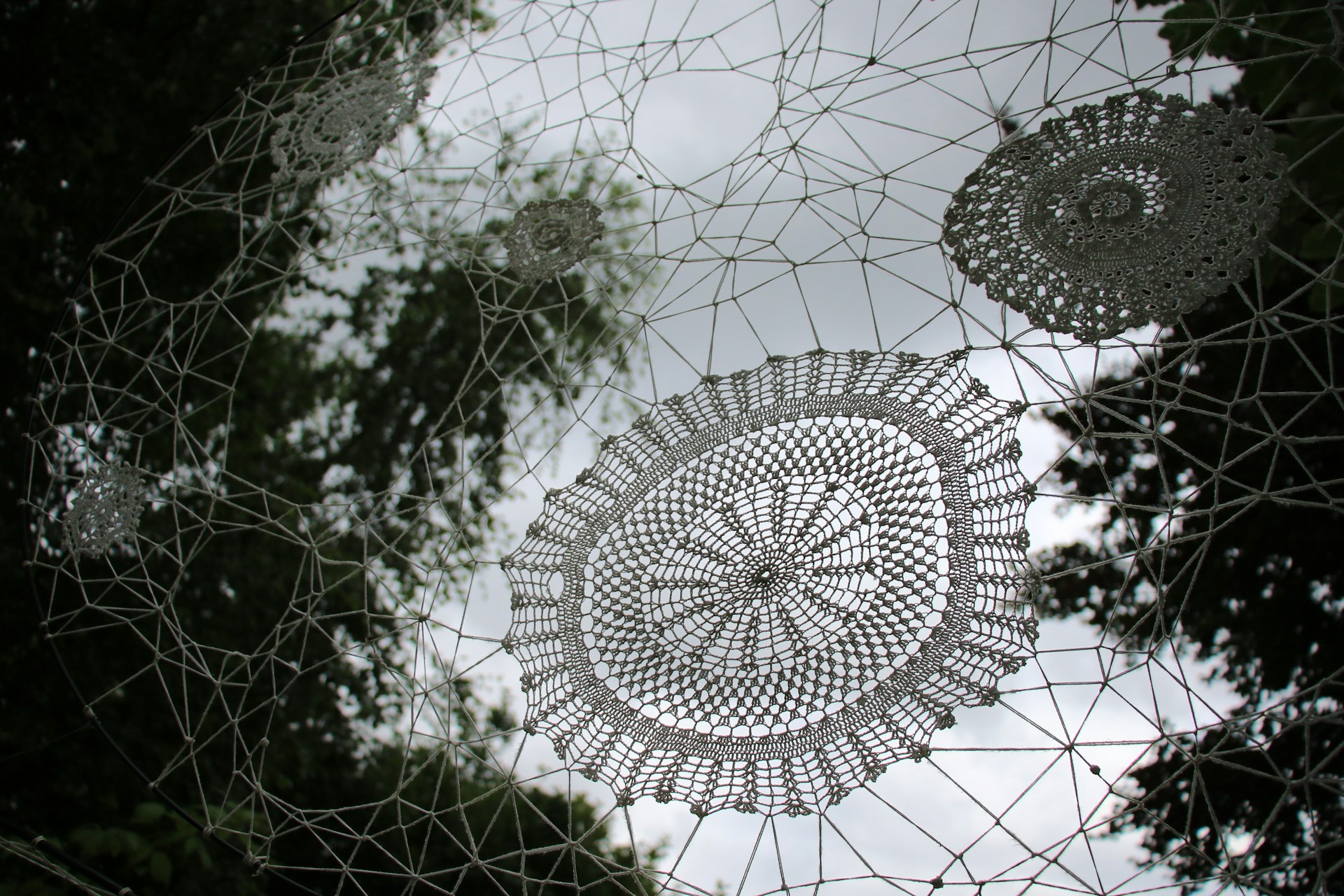 white round hanging decor on green tree
