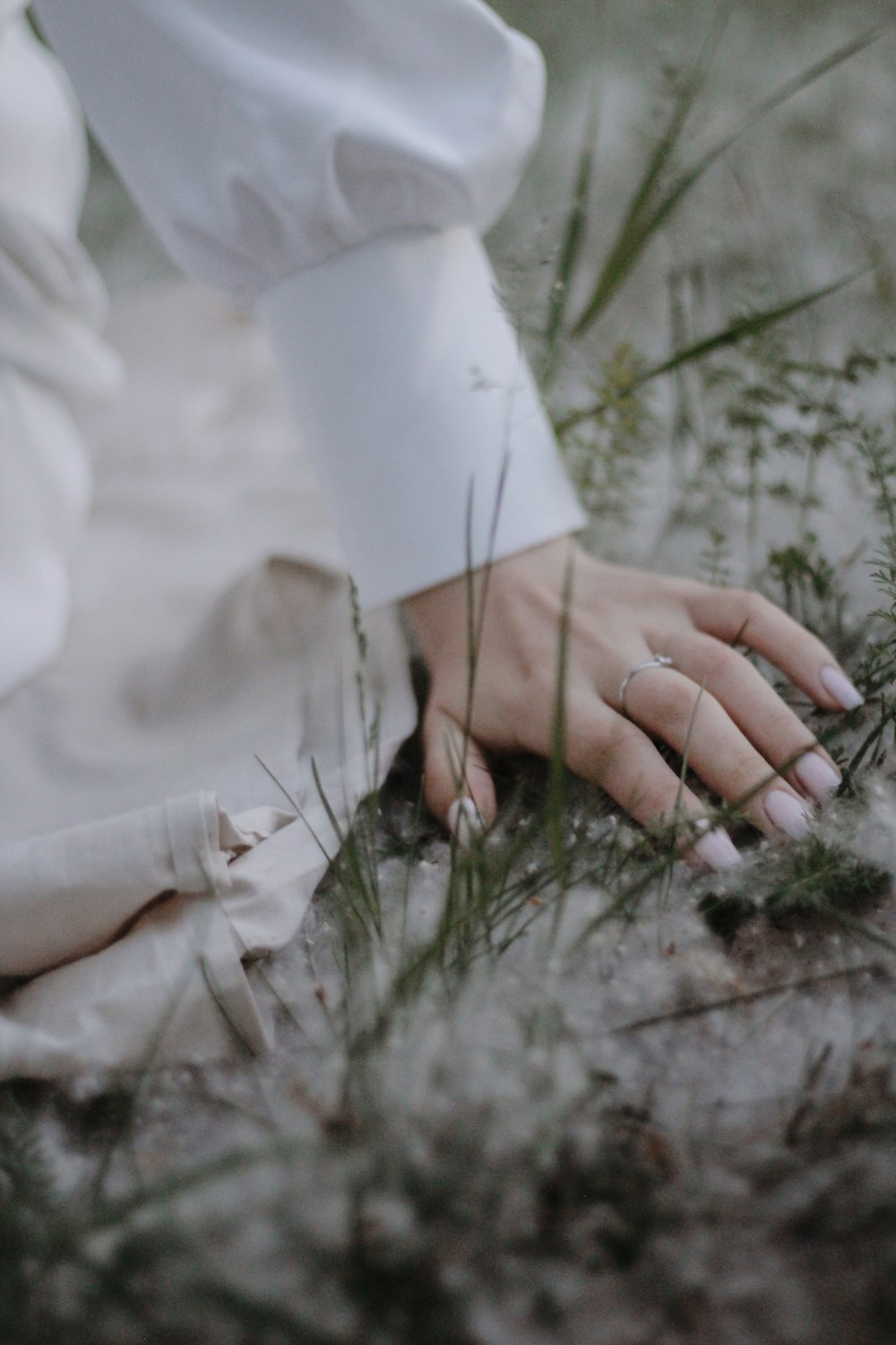 person in white long sleeve shirt holding green grass