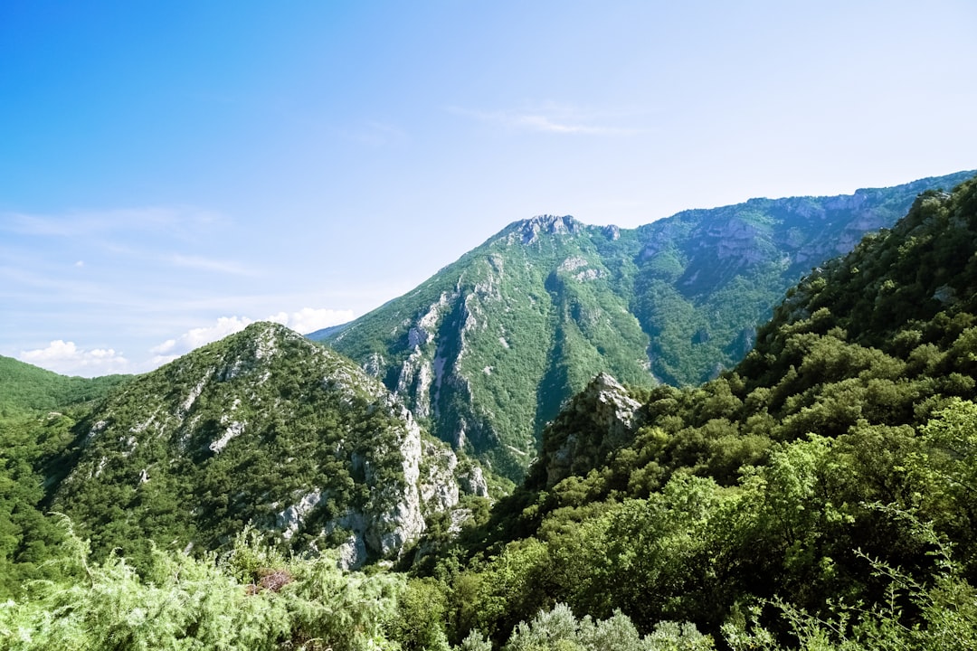 green mountains under blue sky during daytime