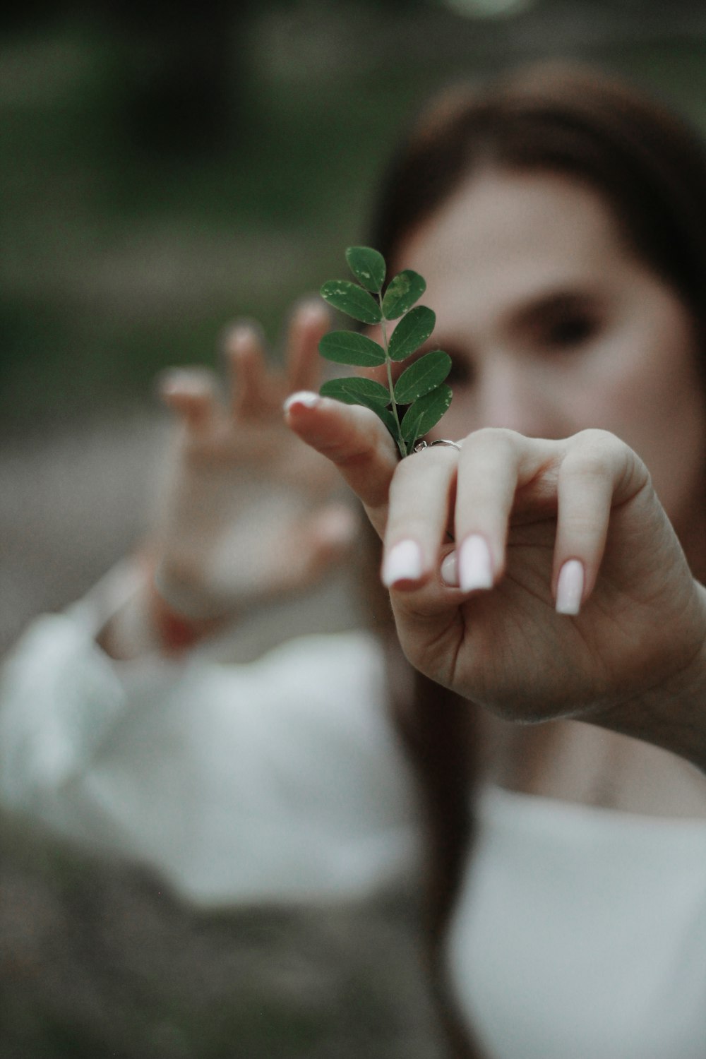 person holding green leaf during daytime