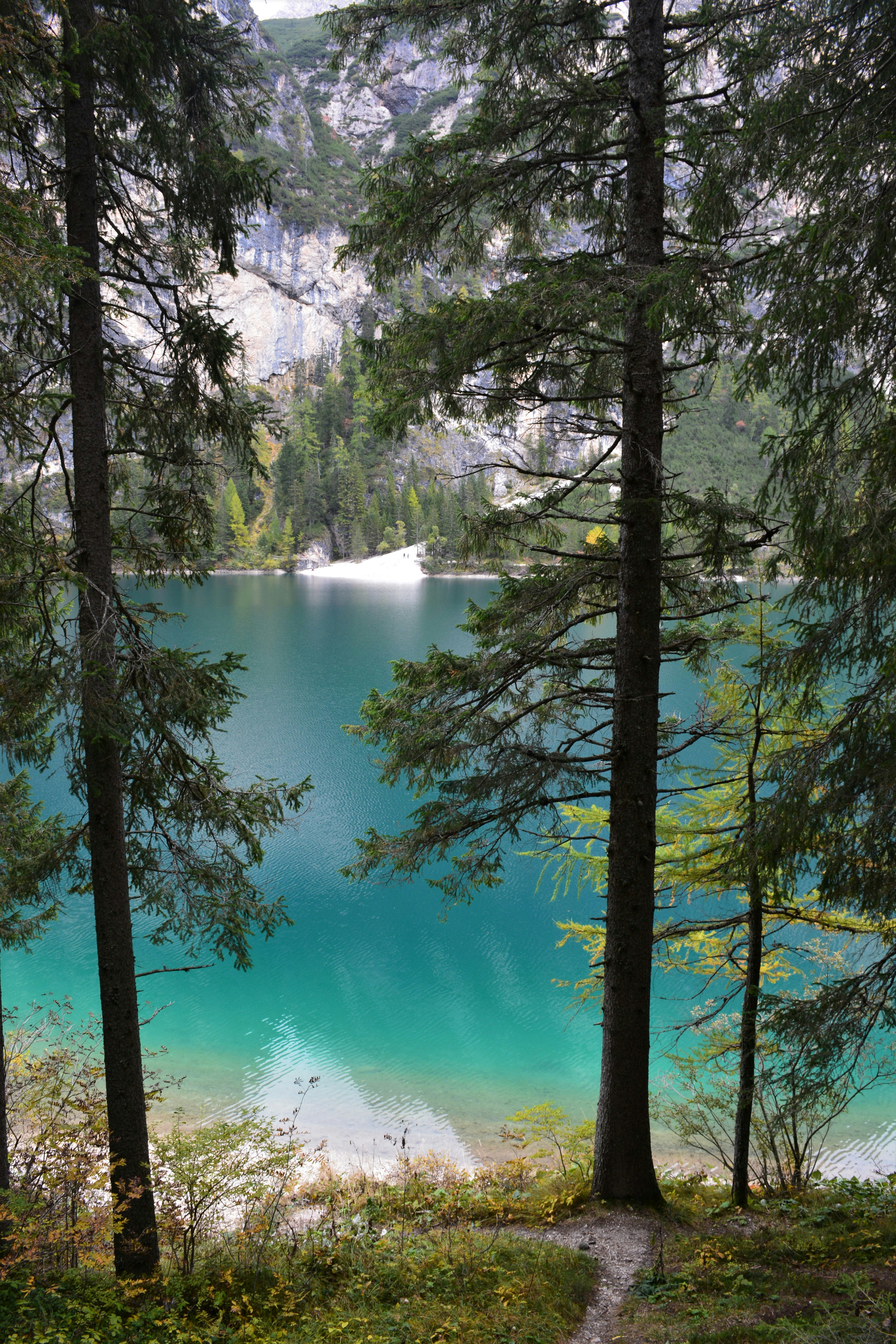 Photo by pedrino5_official