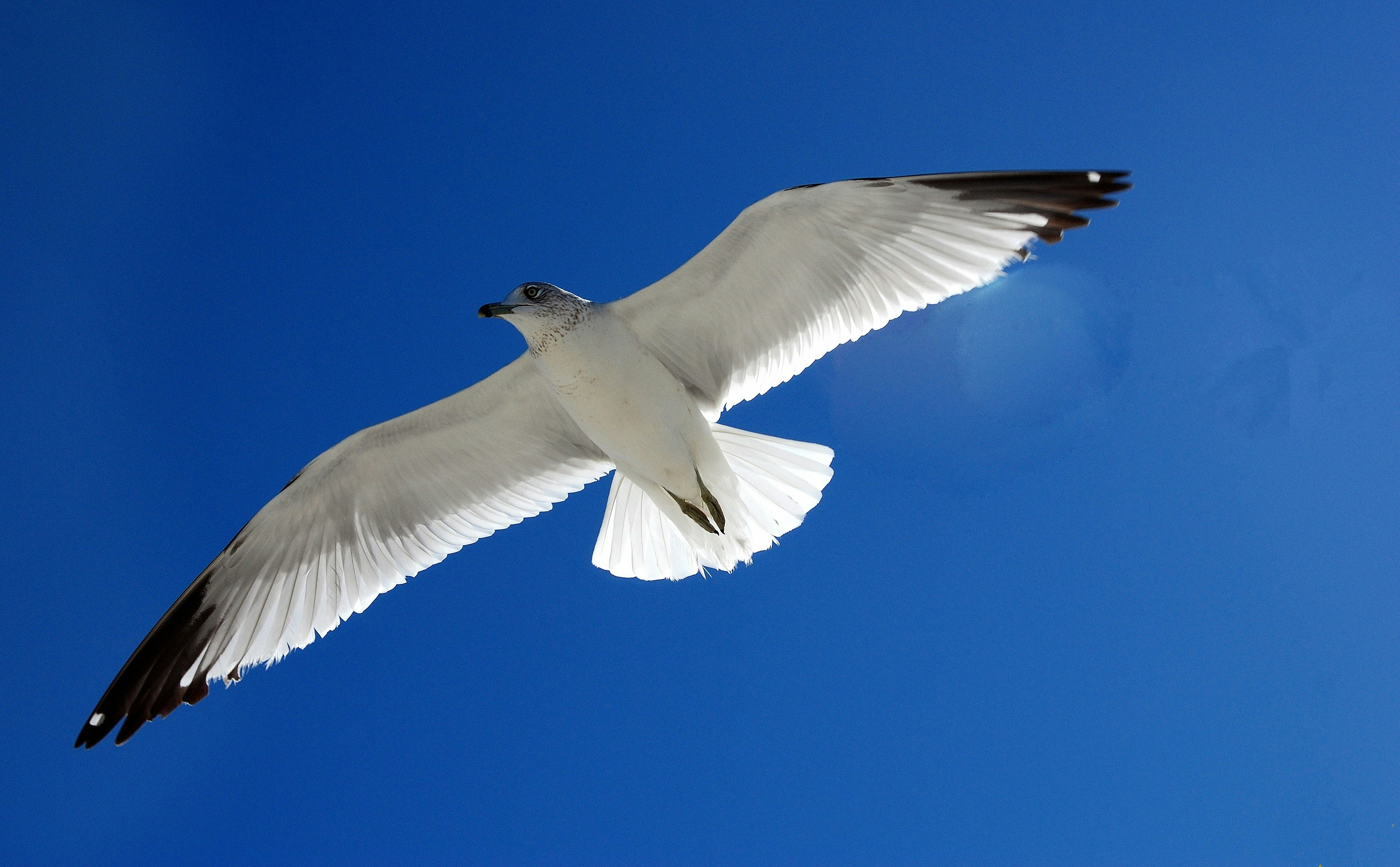 Photo by opineminded