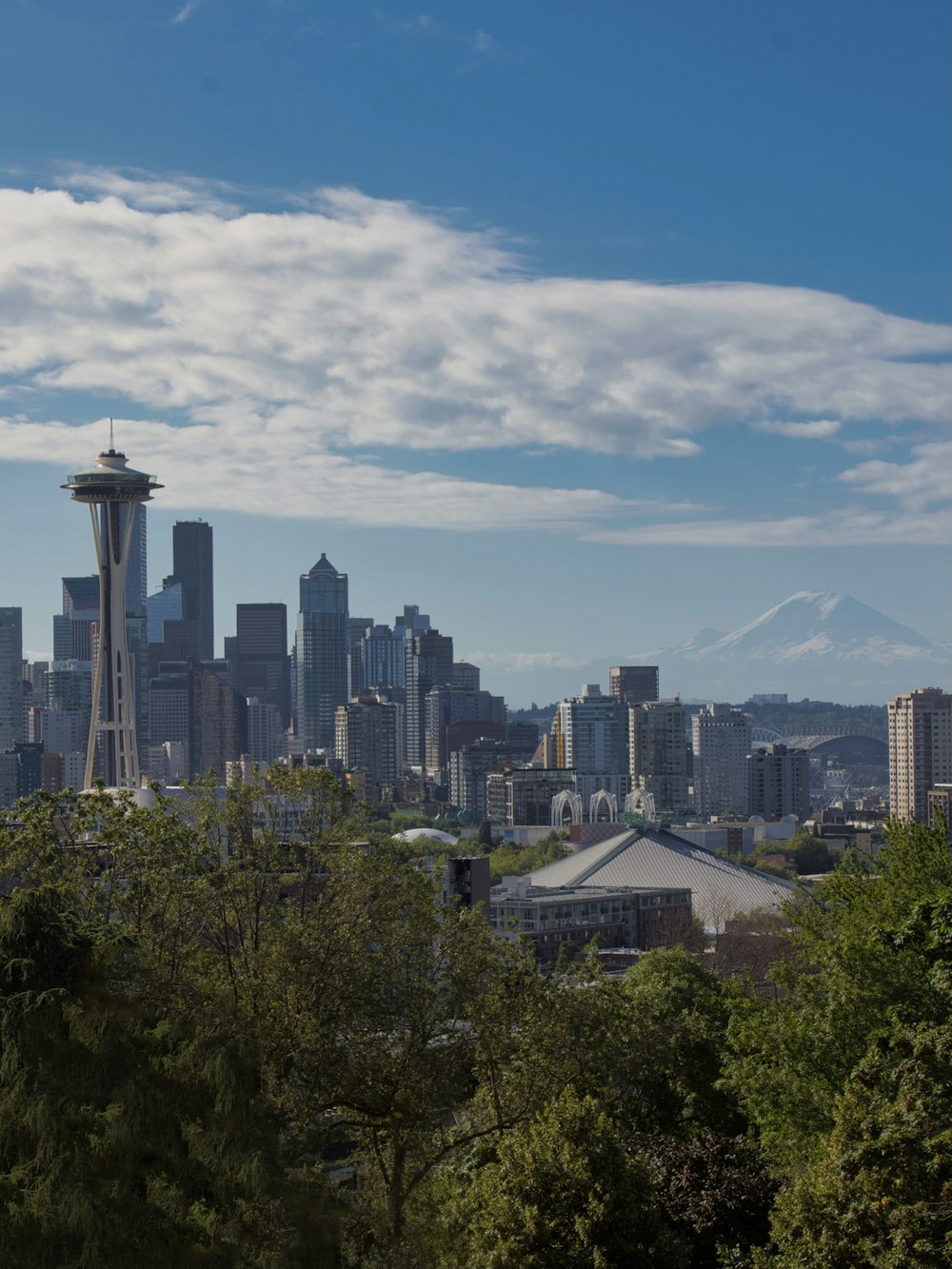 city skyline under blue sky during daytime