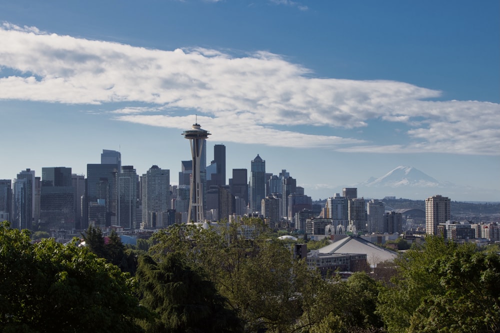 city skyline under blue sky during daytime