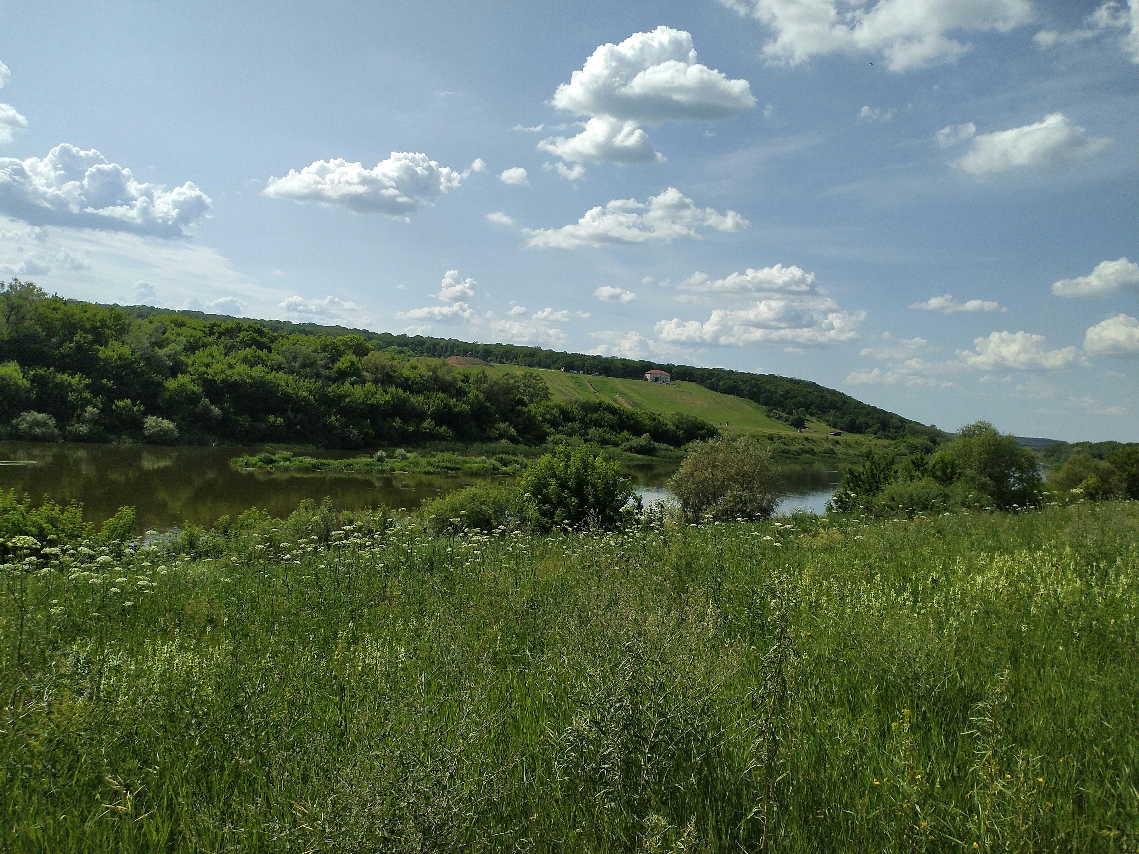 Grünes Grasfeld unter blauem Himmel tagsüber