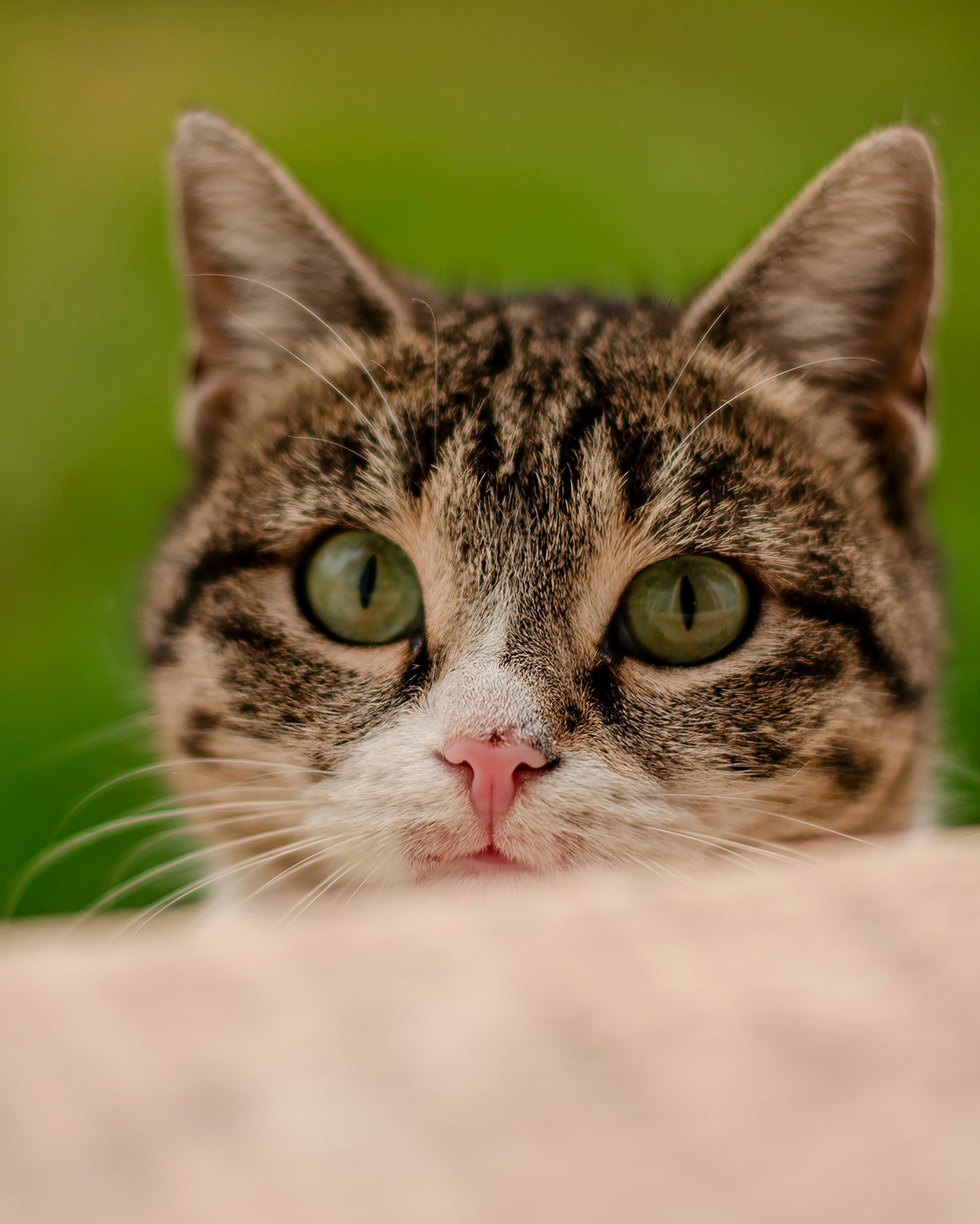 Photo by m_mohammadpour