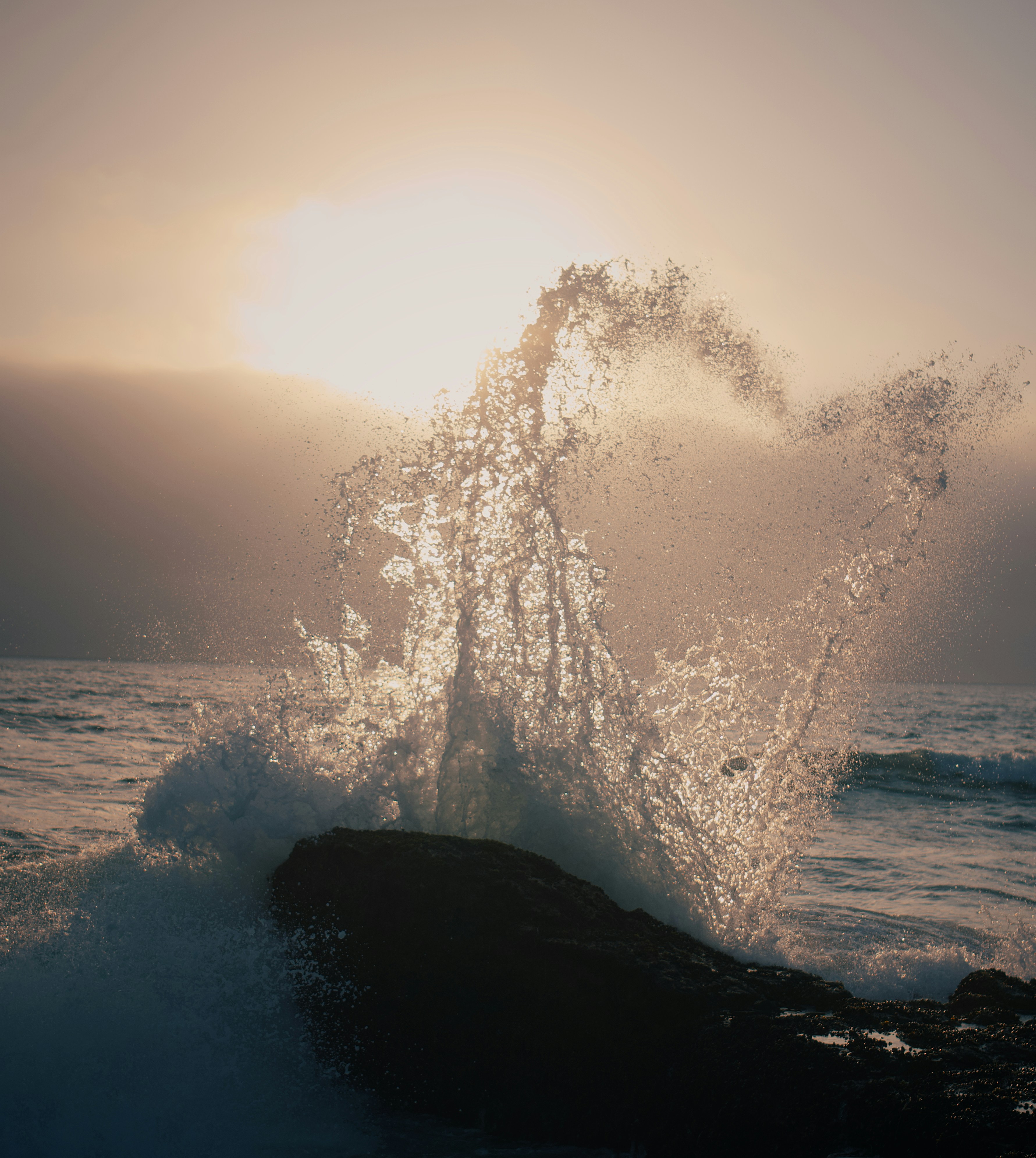 Photo by devonvauclin