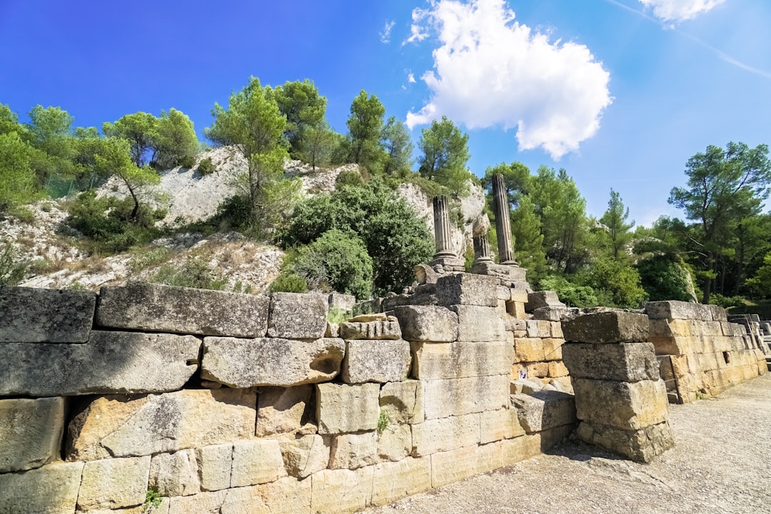 gray concrete blocks near green trees during daytime