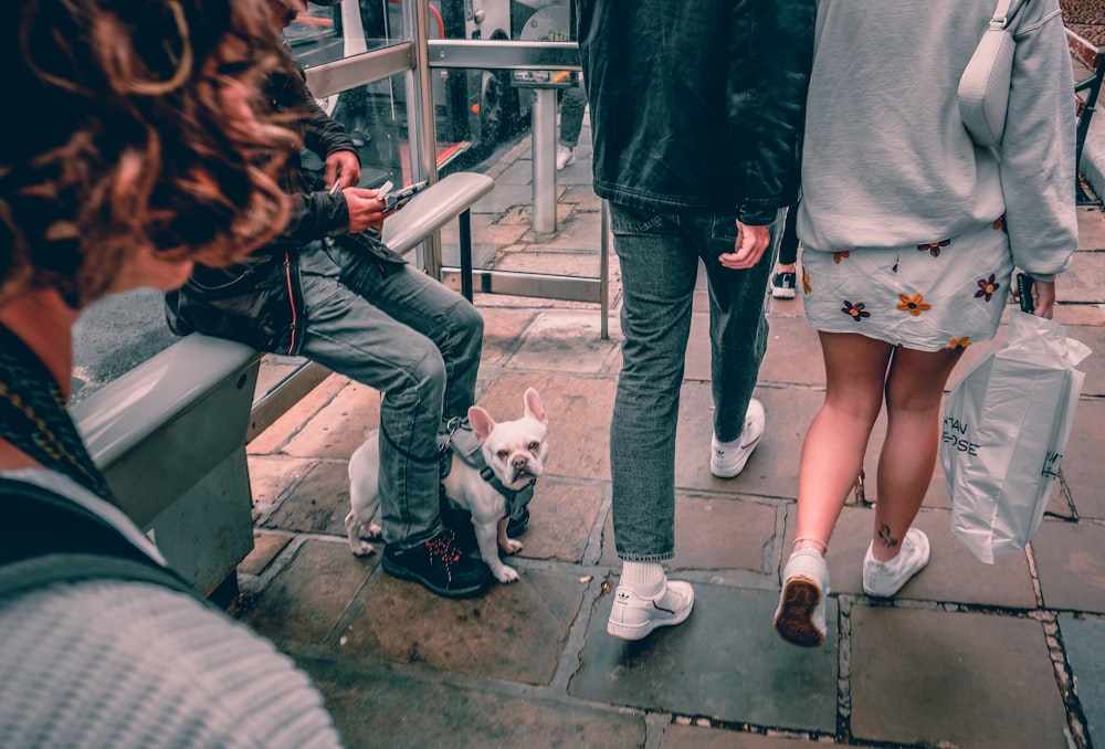 woman in black jacket and blue denim jeans standing beside white short coated small dog