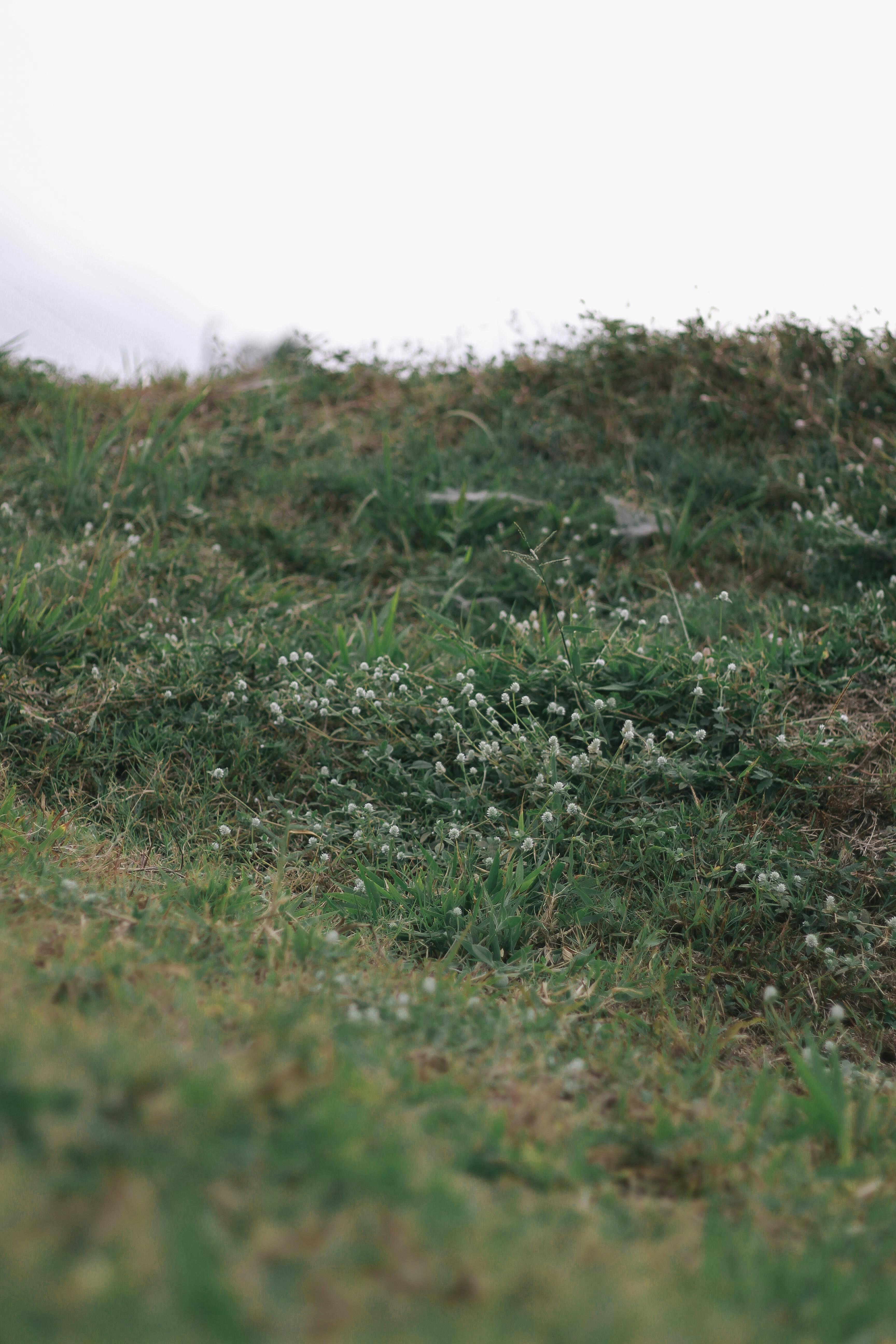 Photo by rizkysabriansyah