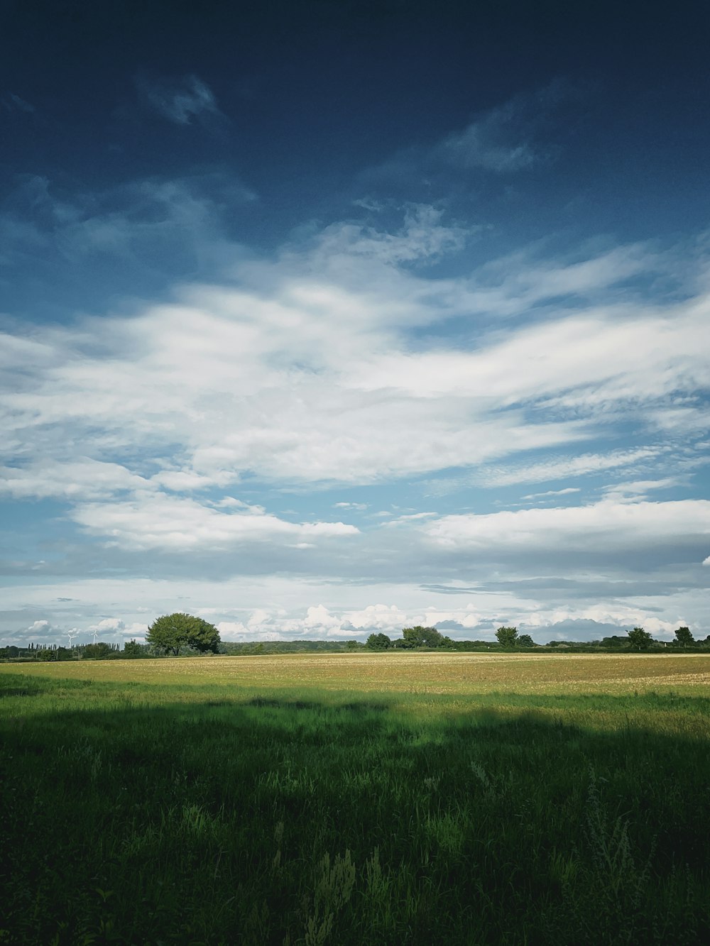 Campo di erba verde sotto il cielo blu e le nuvole bianche durante il giorno