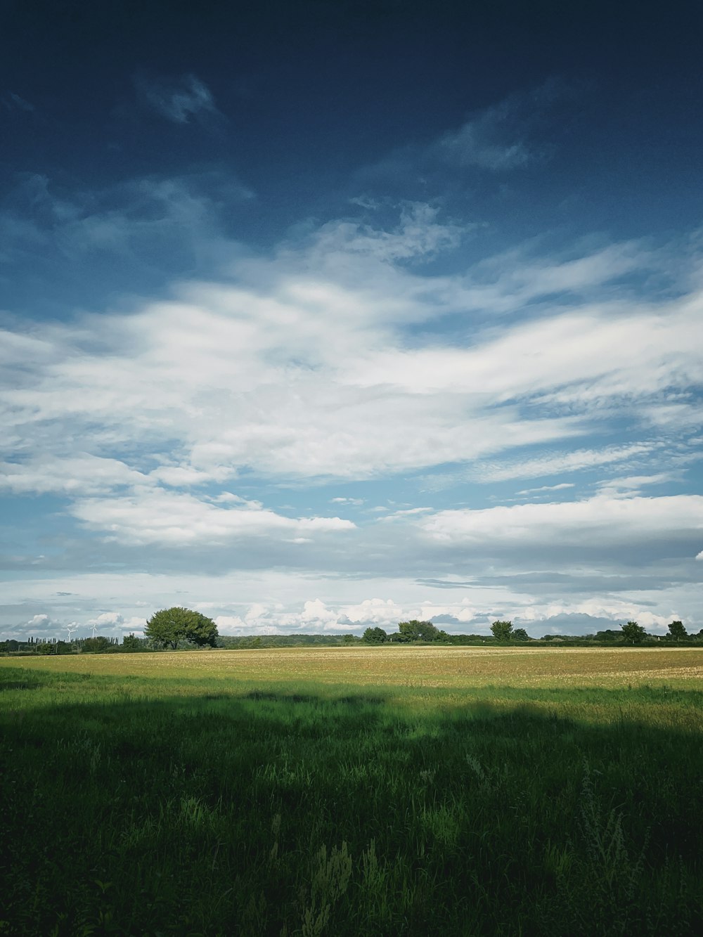 green grass field under blue sky and white clouds during daytime