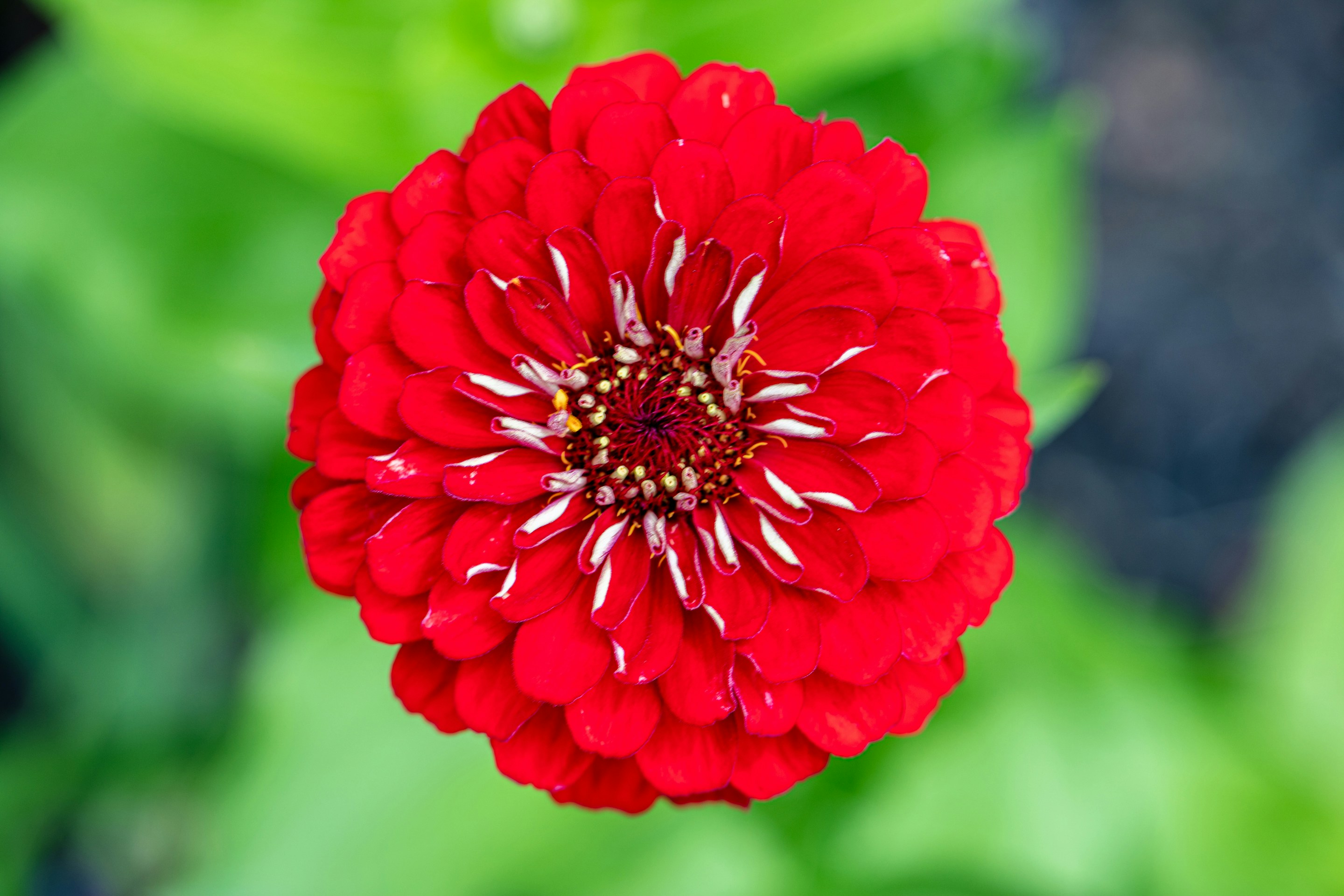 Photo by amylynngrover