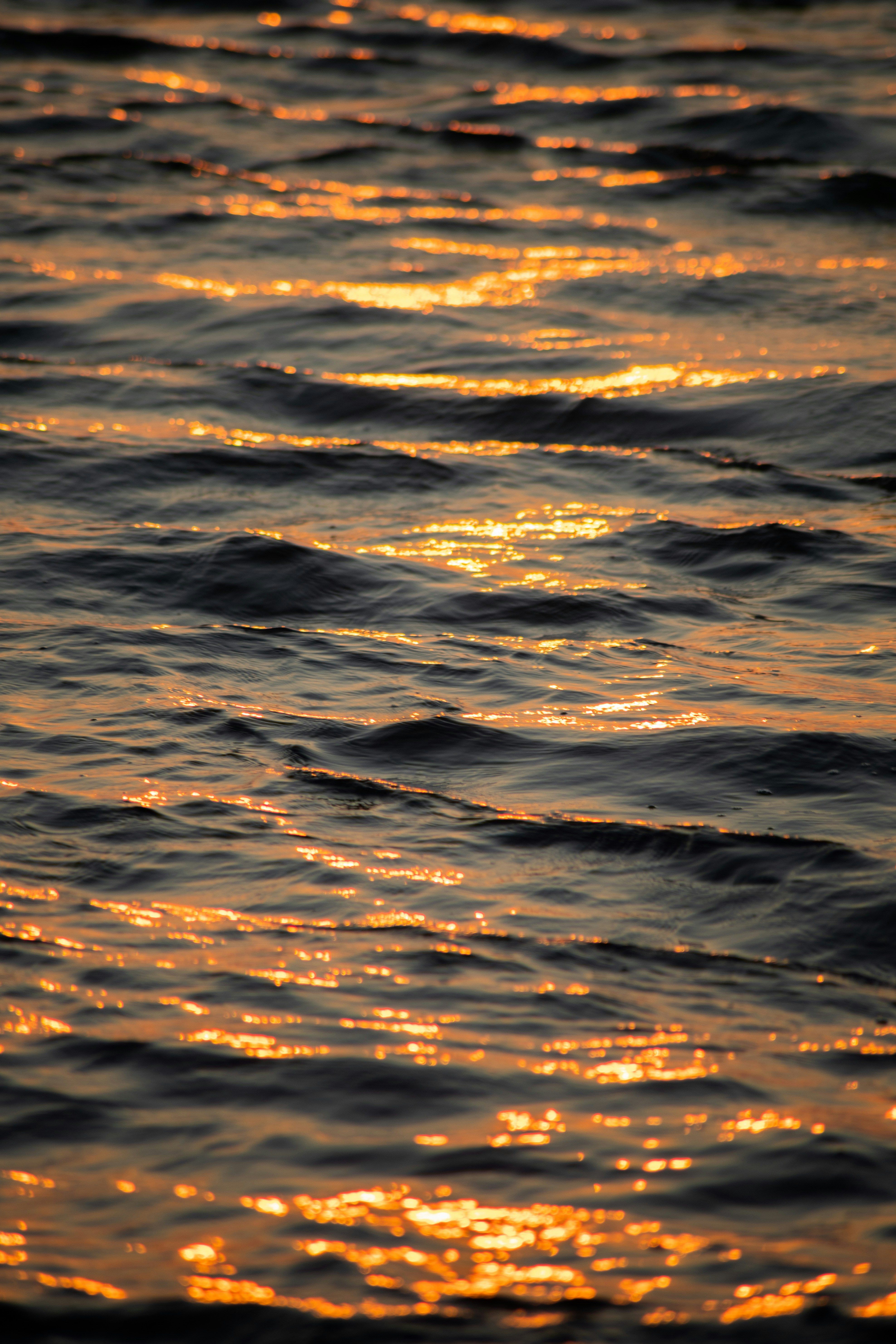 Photo by tom_bressolles