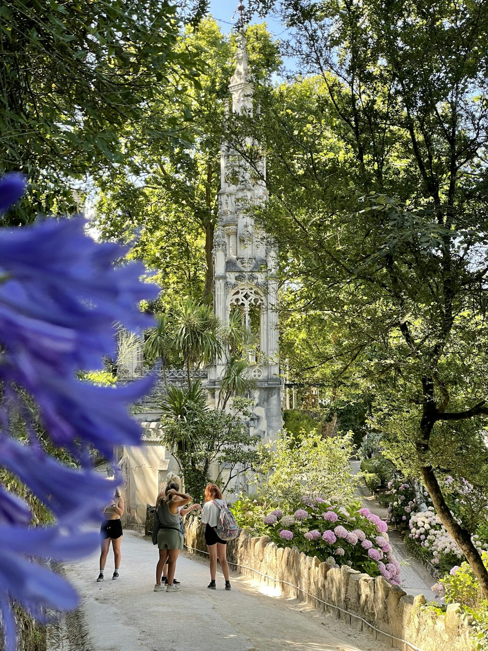 people walking on pathway between trees during daytime