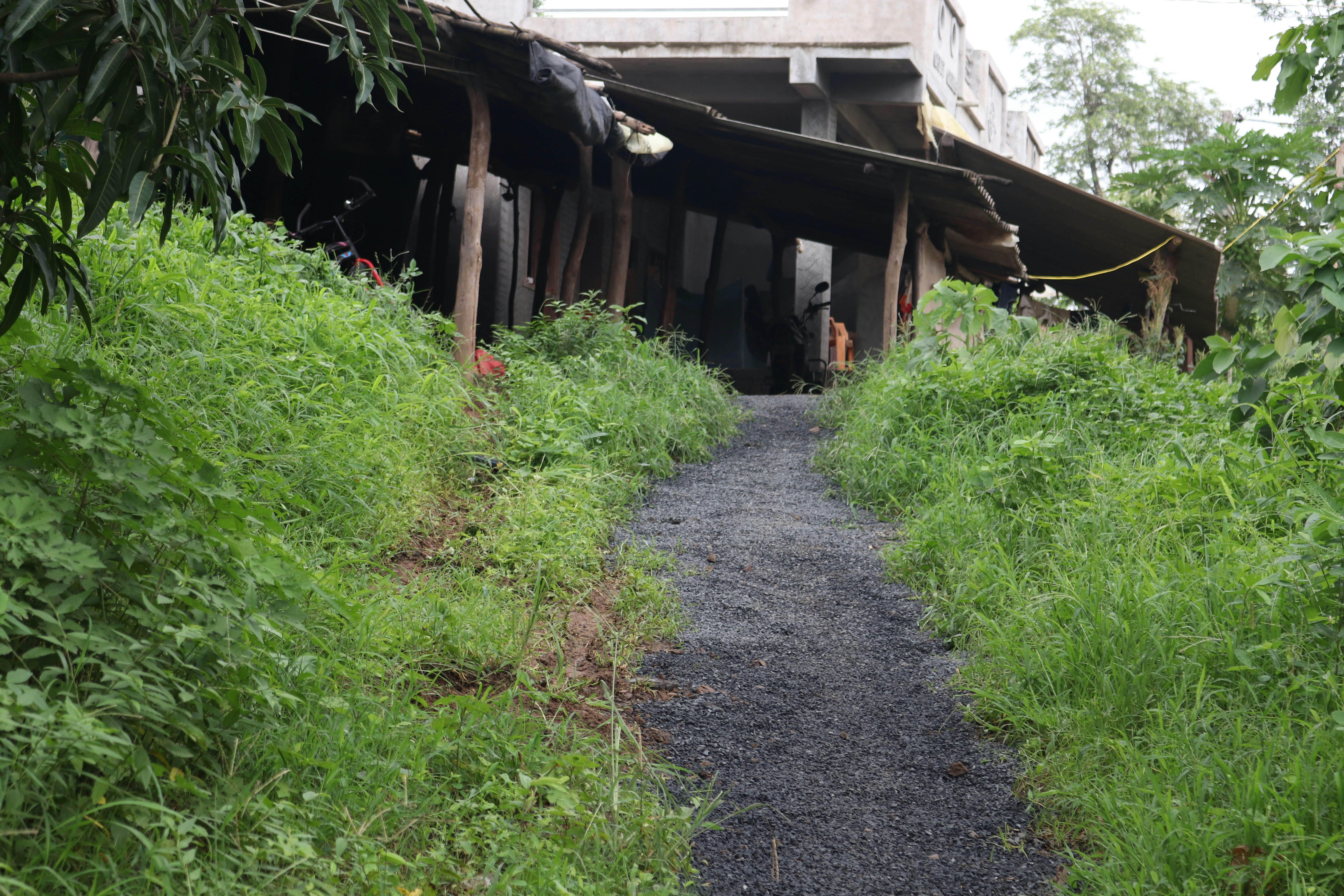 Brown wooden house near green grass during daytime photo – Free Waghai ...