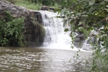 A serene view of the Iguazu Falls surrounded by lush greenery.