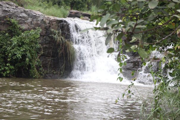 A serene view of the 7-meter waterfall cascading into the river surrounded by lush green foliage.