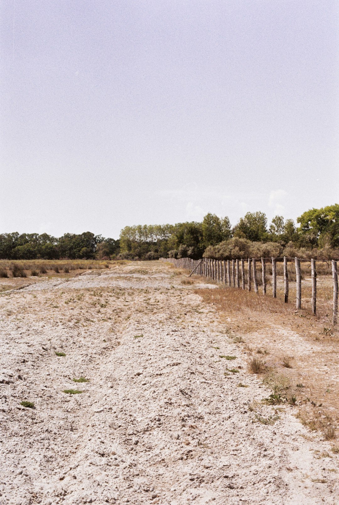 brown dirt road between green grass field during daytime