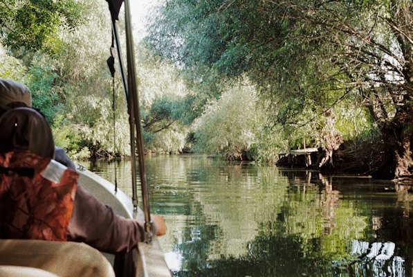A fisherman rowing a wooden boat down a willow-lined channel — Danube Delta, Romania