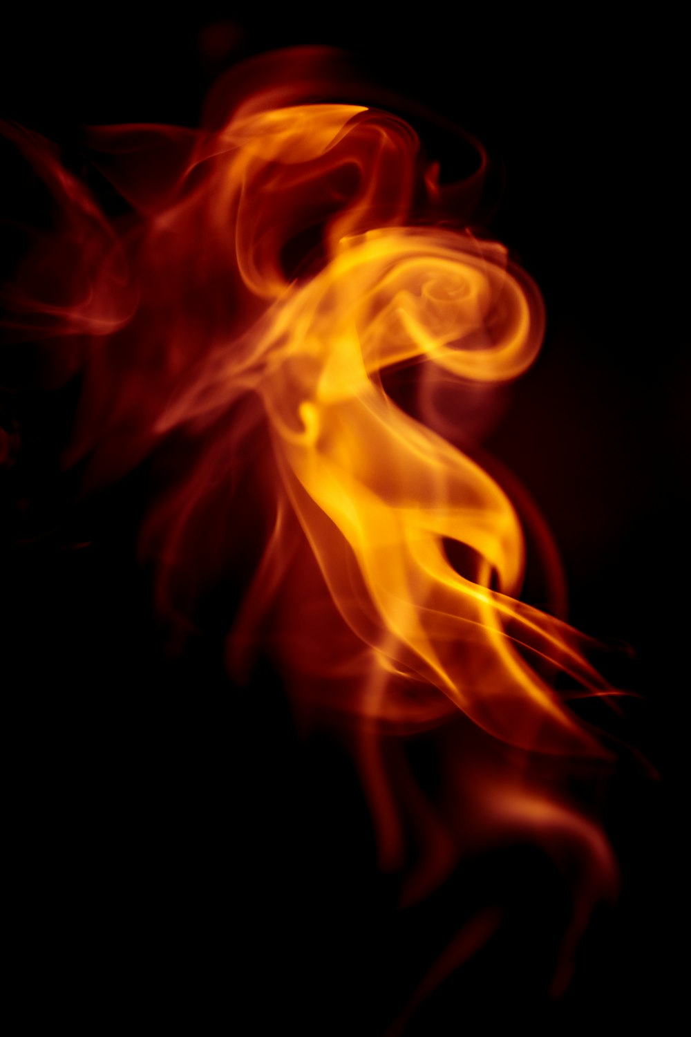 red and yellow fire illustration