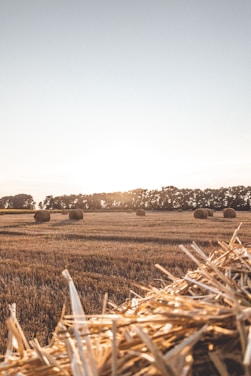 A warm sunset over green fields with round hay bales scattered across the farm.