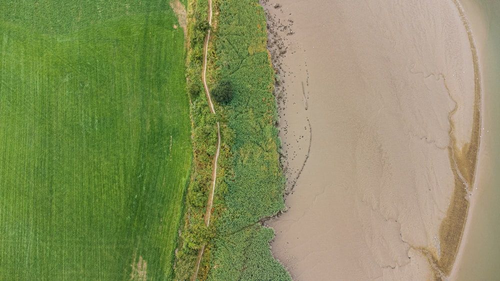 green grass field near body of water during daytime