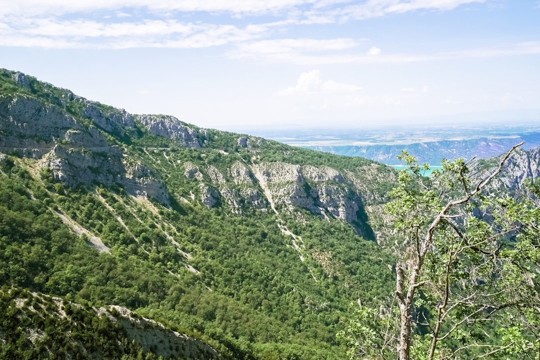 green trees on mountain under white clouds during daytime