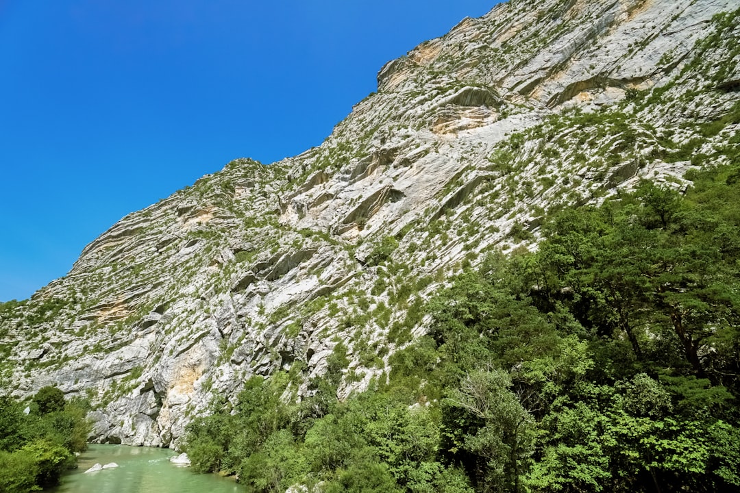 green trees near gray mountain under blue sky during daytime