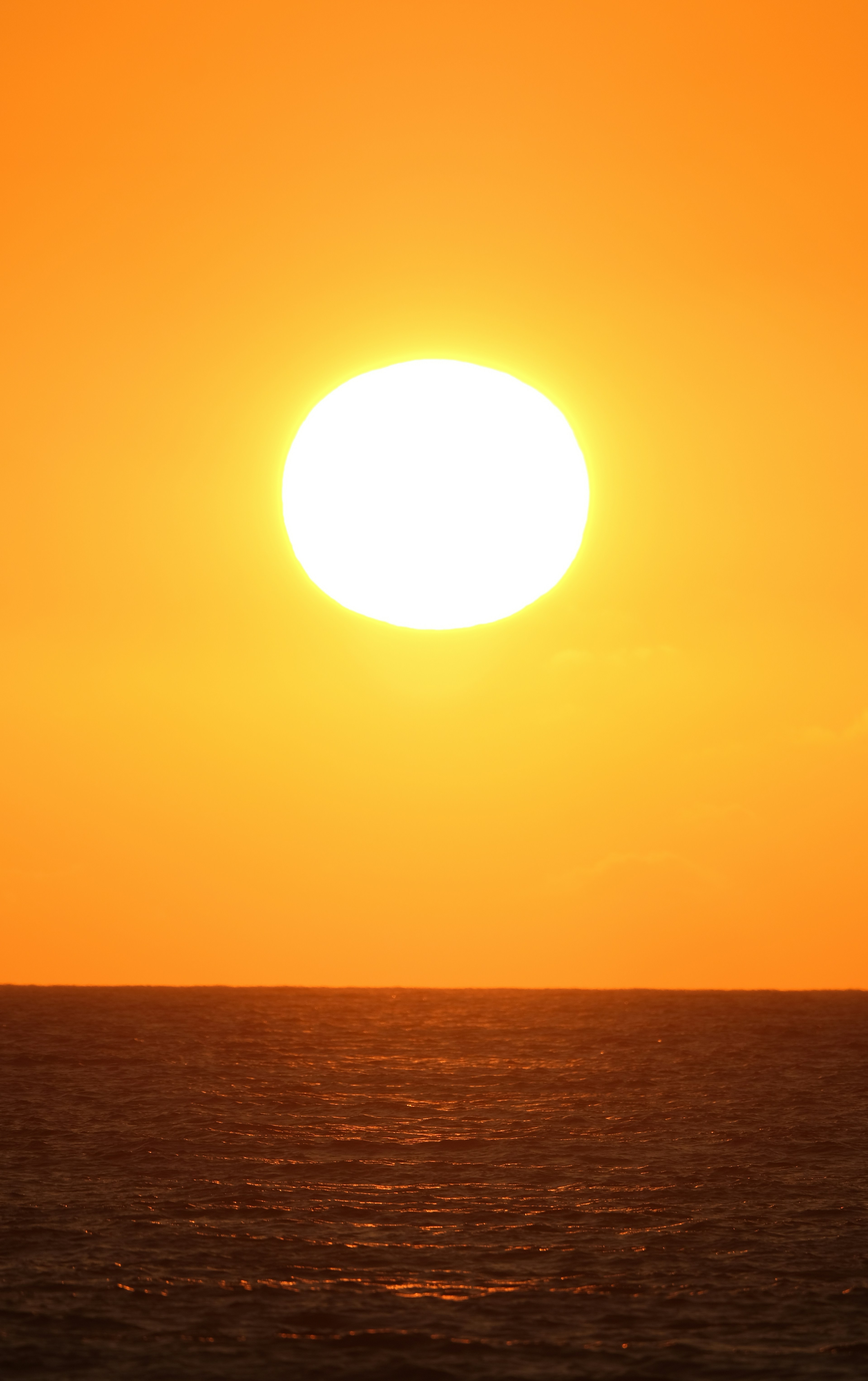 Photo by francesco_ungaro