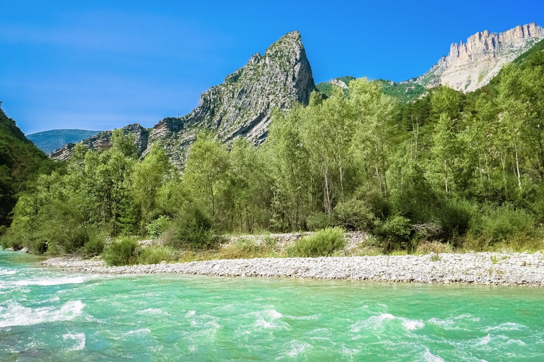 green trees near body of water during daytime