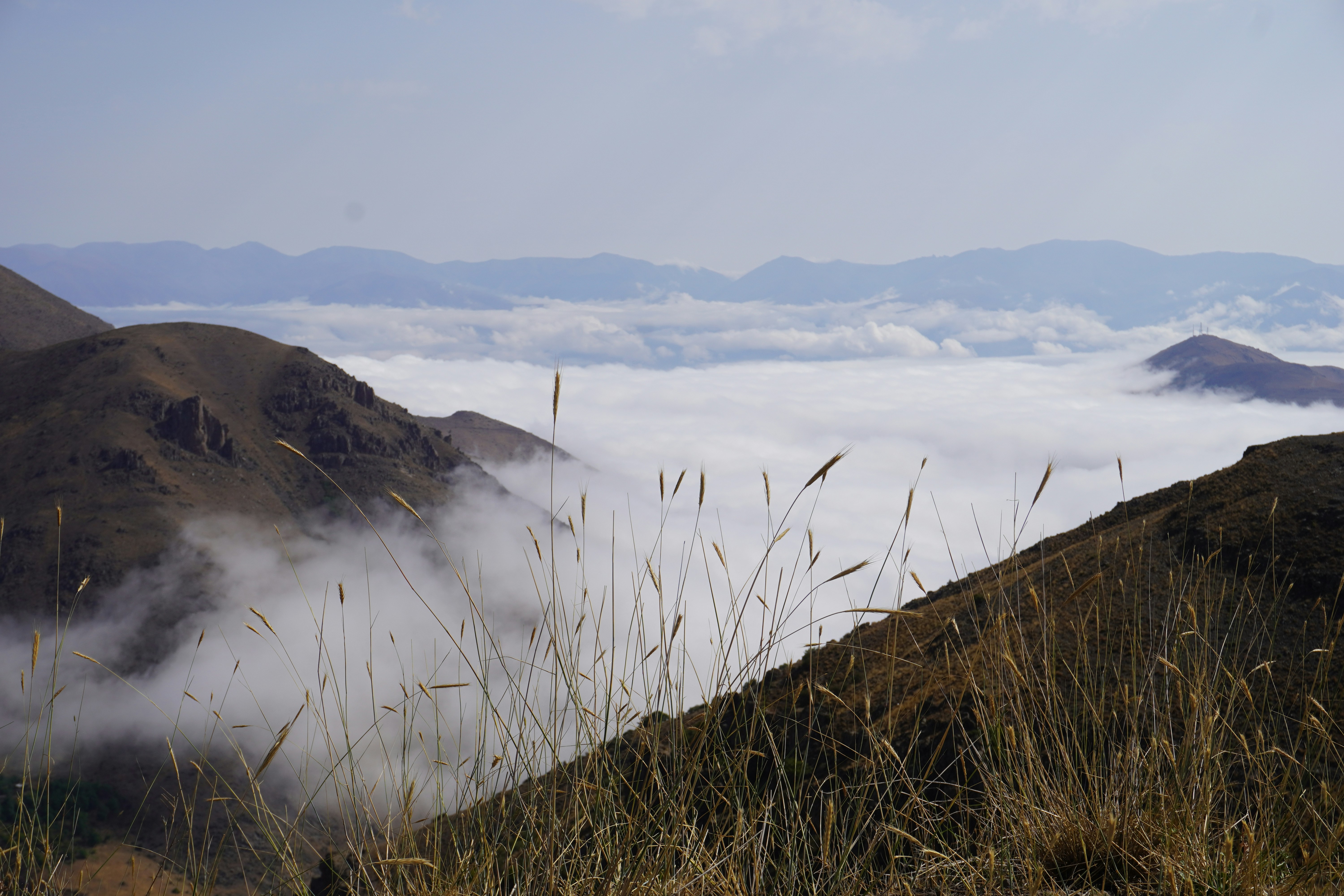 Photo by mohammad2020