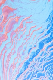 a close up of a coral