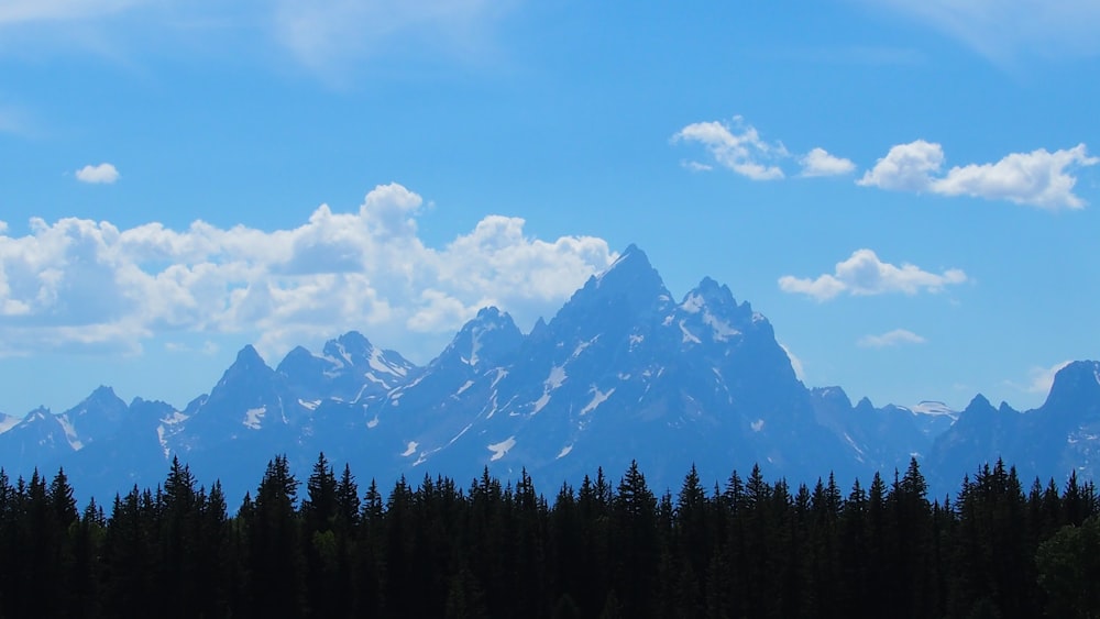 green trees near mountain under white clouds and blue sky during daytime