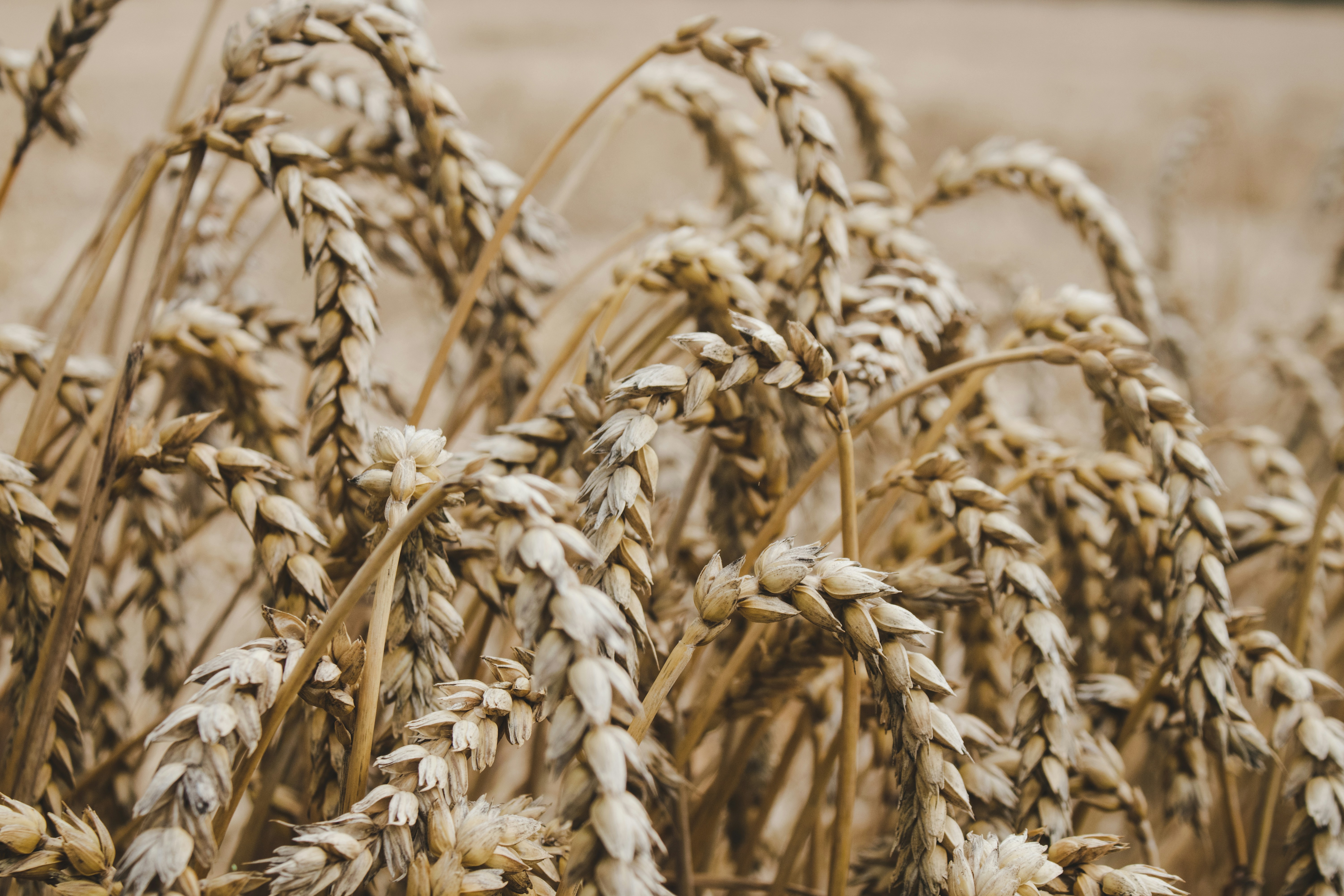 Photo by rob_vesseur