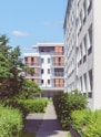white concrete building near green trees during daytime