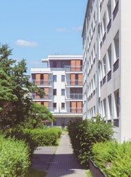white concrete building near green trees during daytime