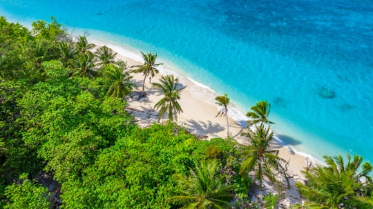 green trees near blue sea during daytime in Kurendhoo Maldives