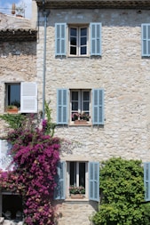 pink flowers near brown brick building