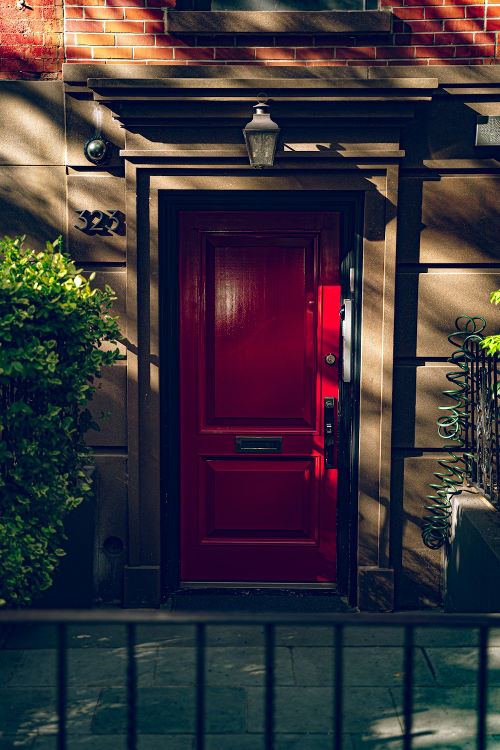 brown wooden door with green plants