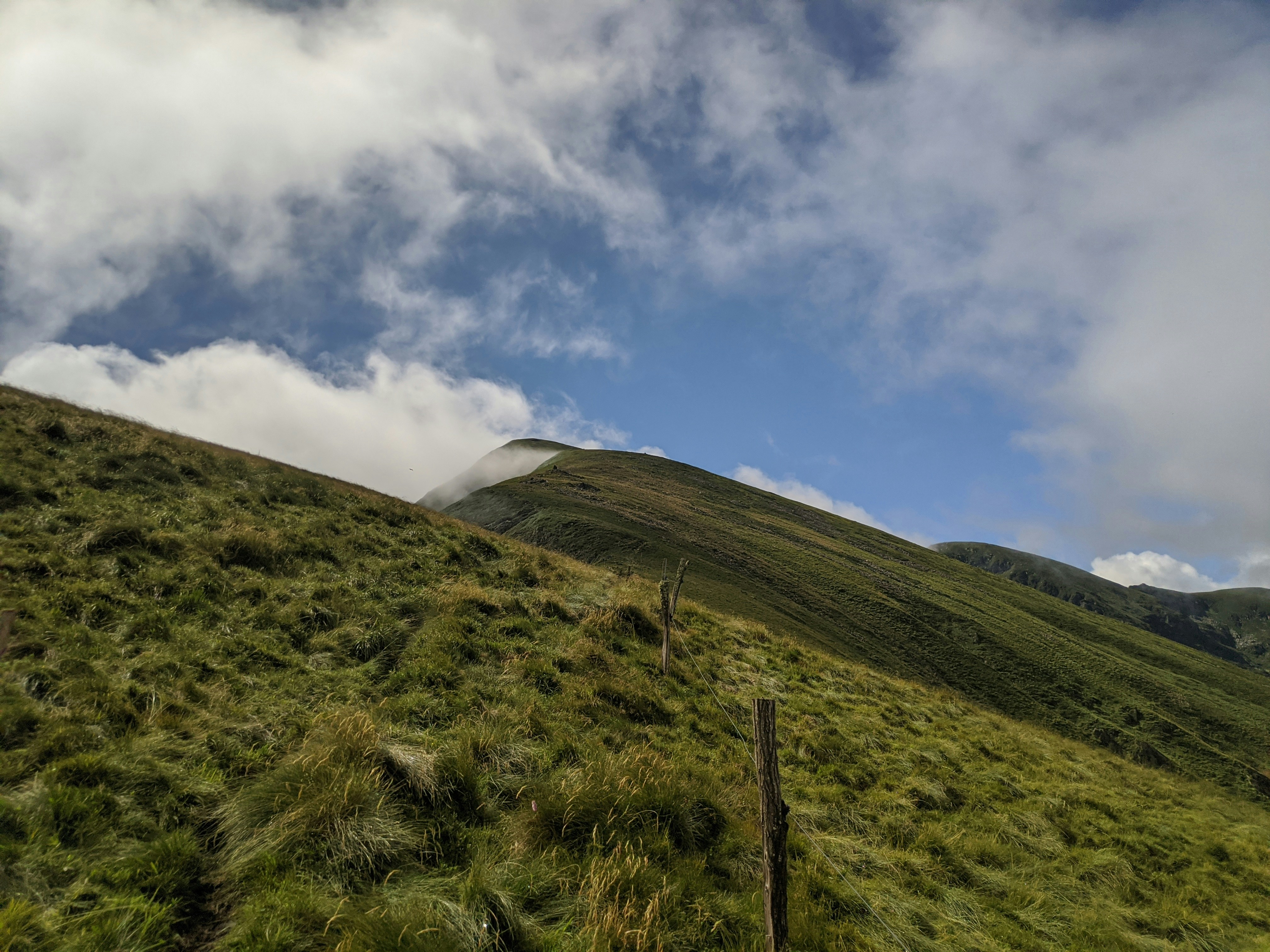 green grass field under white clouds and blue sky during daytime