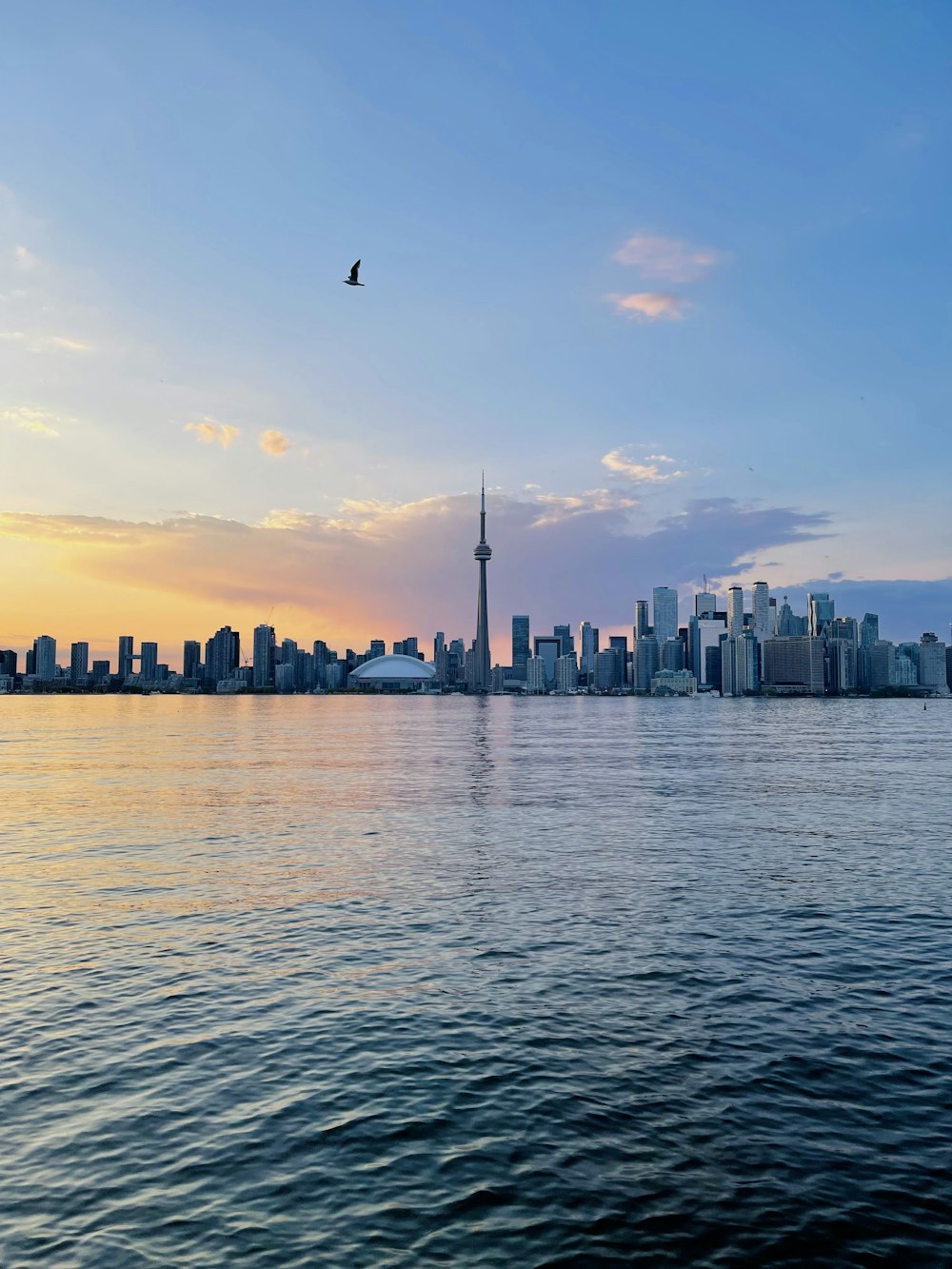 body of water near city buildings during daytime