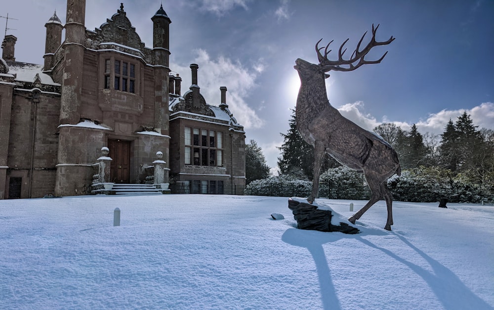 black deer statue on snow covered ground near brown concrete building during daytime