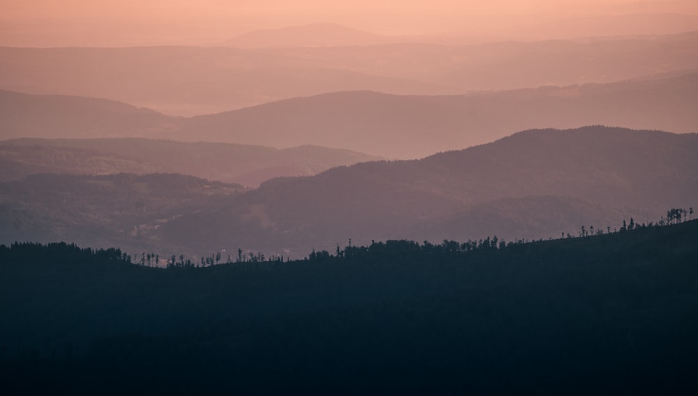 green trees on mountain during daytime